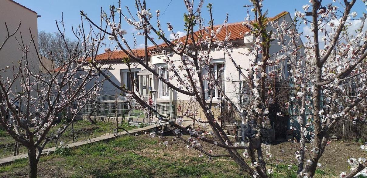 La Maison Du Bonheur Сен-Лоран-де-ла-Саланк Екстер'єр фото